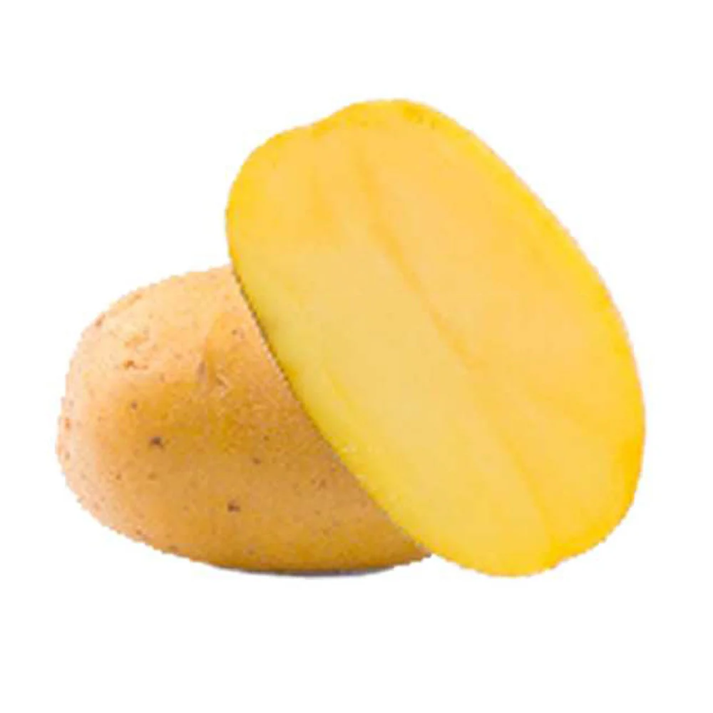 Productafbeelding 1