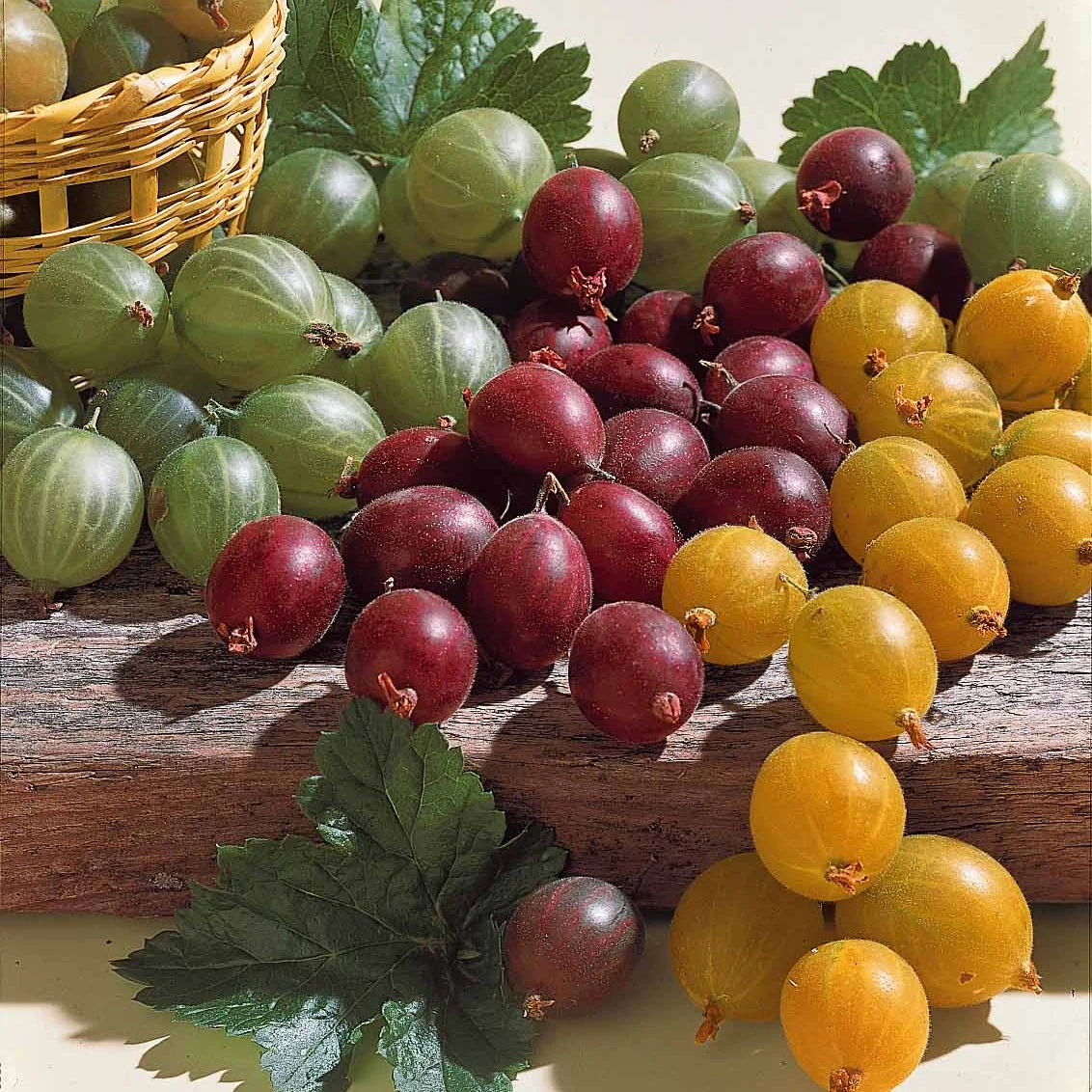 Miniatuur 2